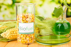 Coryton biofuel availability
