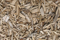 biomass boilers Coryton